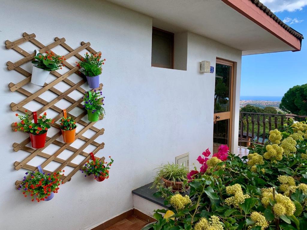 B&B Casa Di Antonio_Etna Vacanze Trecastagni Exterior photo