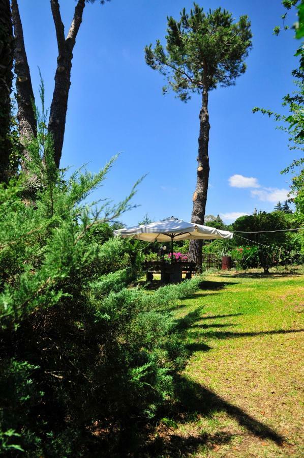 B&B Casa Di Antonio_Etna Vacanze Trecastagni Exterior photo