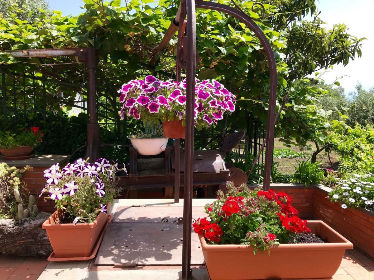 B&B Casa Di Antonio_Etna Vacanze Trecastagni Exterior photo